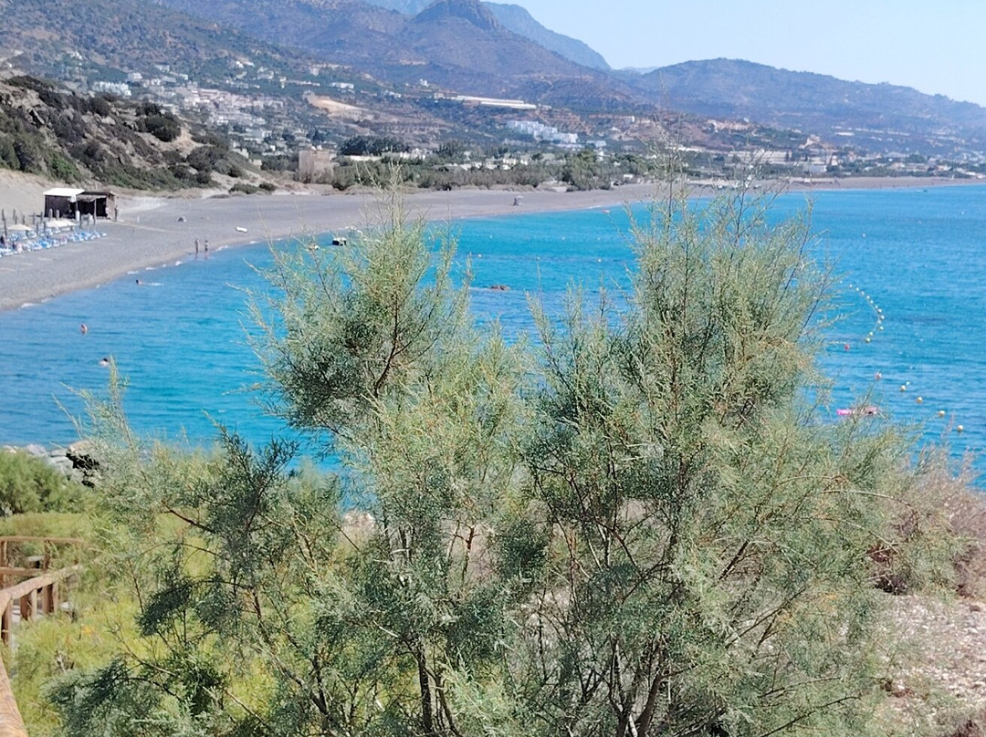 Koutsounari Long Beach-Koutsounari必去景点