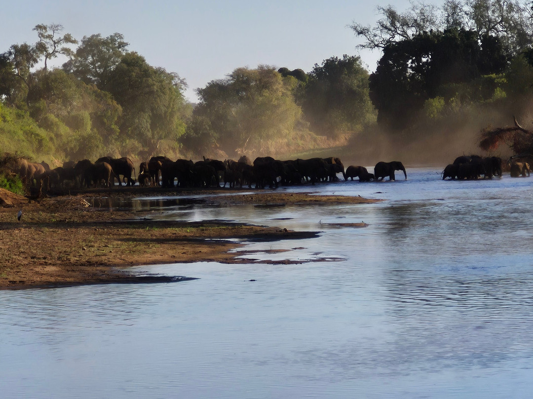 Paw Safaris-霍德斯普鲁特必去景点