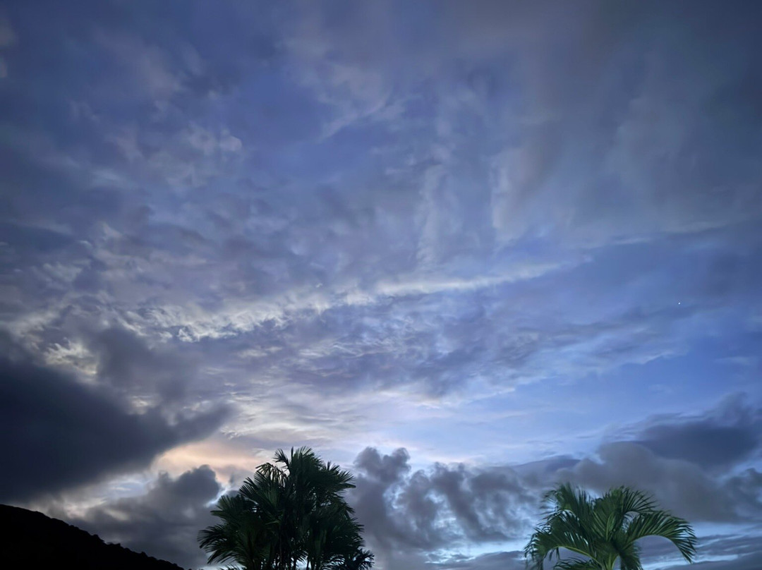 Costa Rica Driver - Tours-圣何塞必去景点