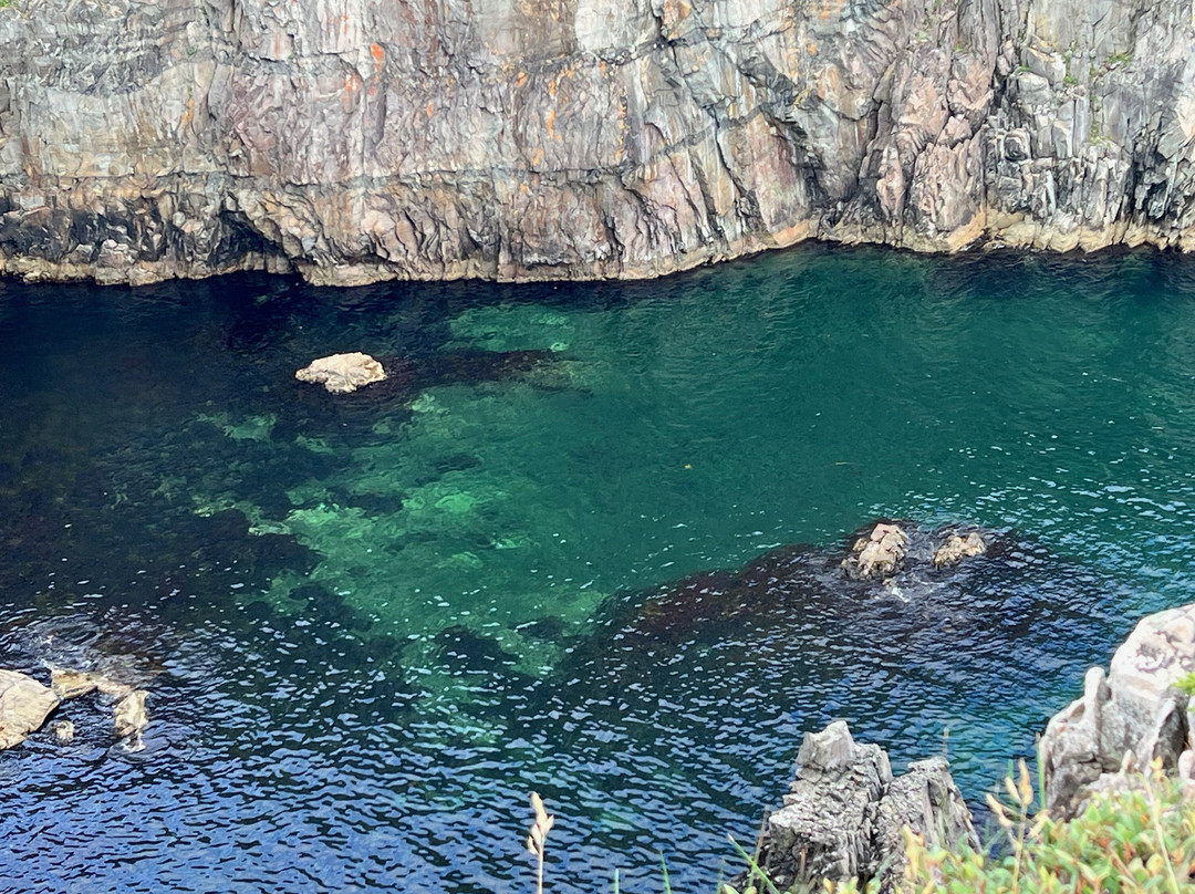 Spiller's Cove-Twillingate必去景点