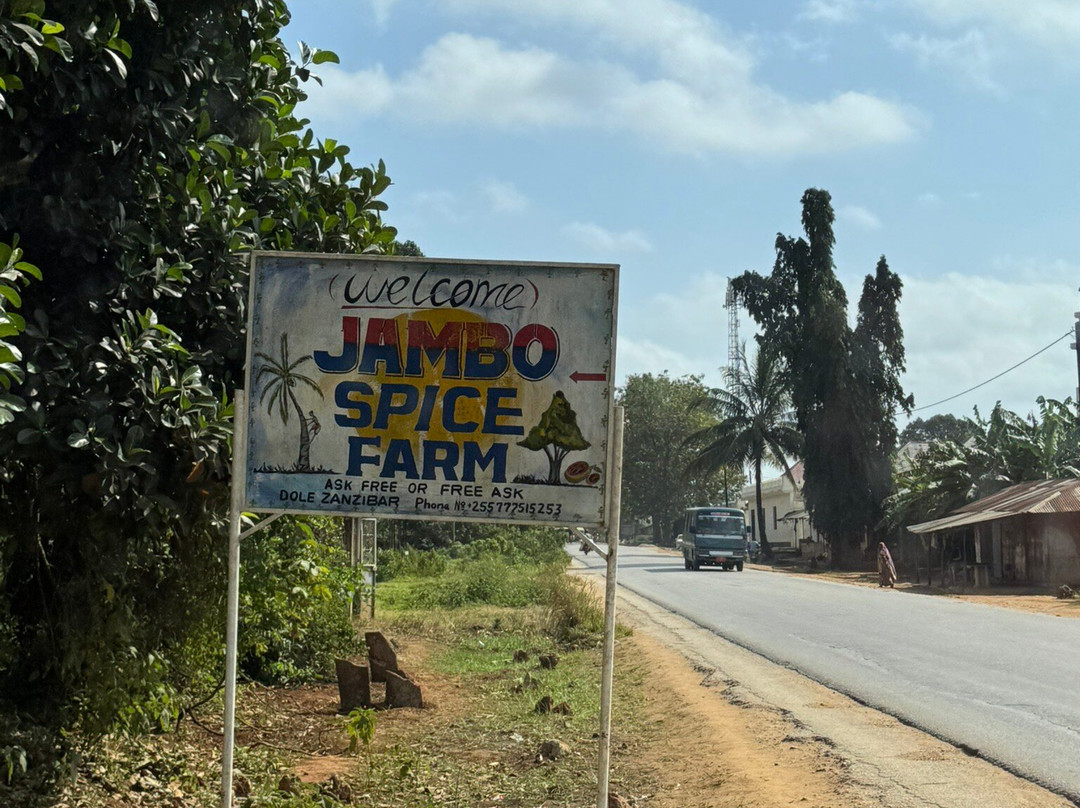 Jambo Spice Farm-桑给巴尔市必去景点