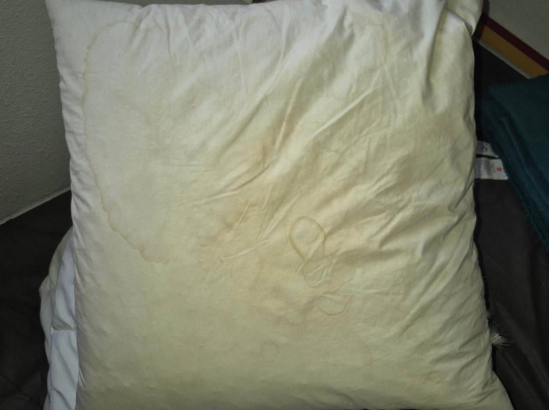 Adonis Cassen by Olydea主图