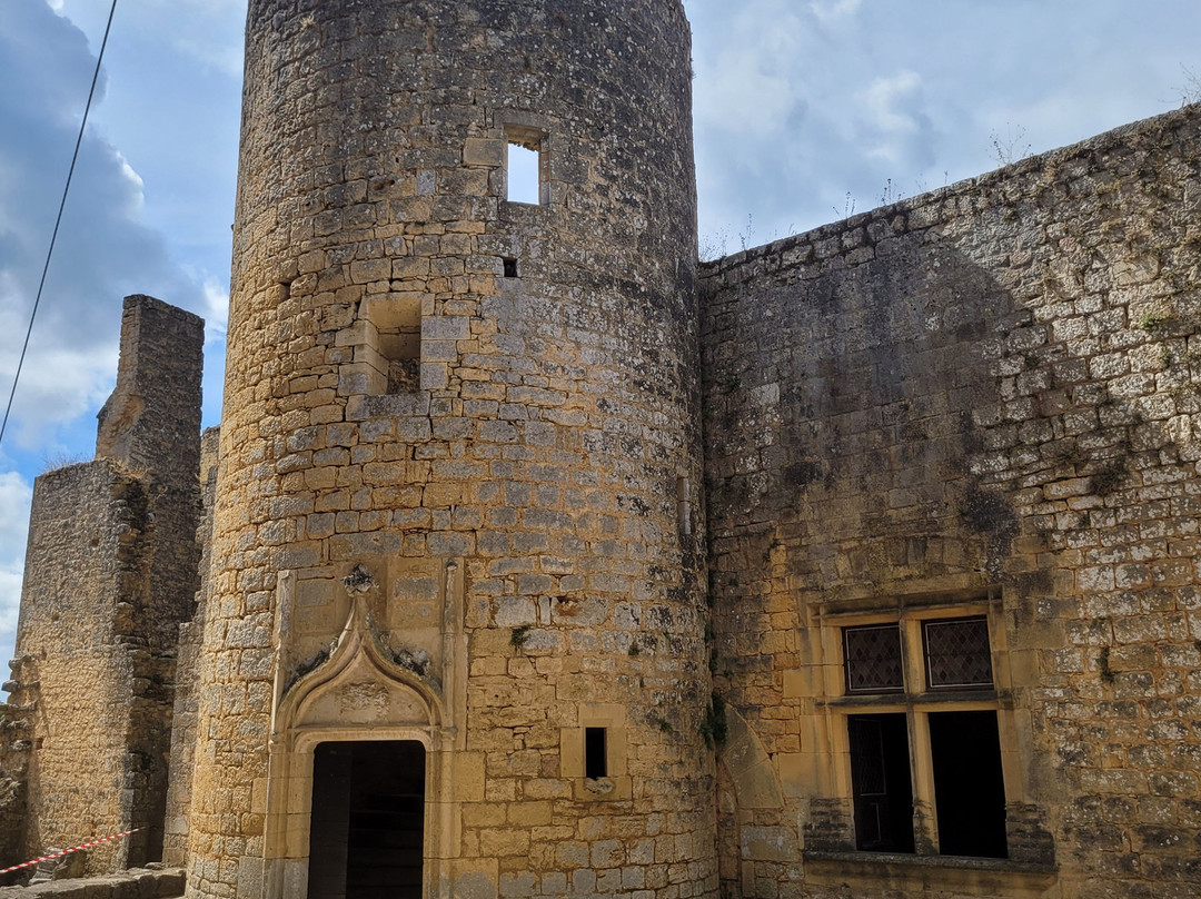 Château de Bonaguil-Saint-Front-sur-Lemance必去景点