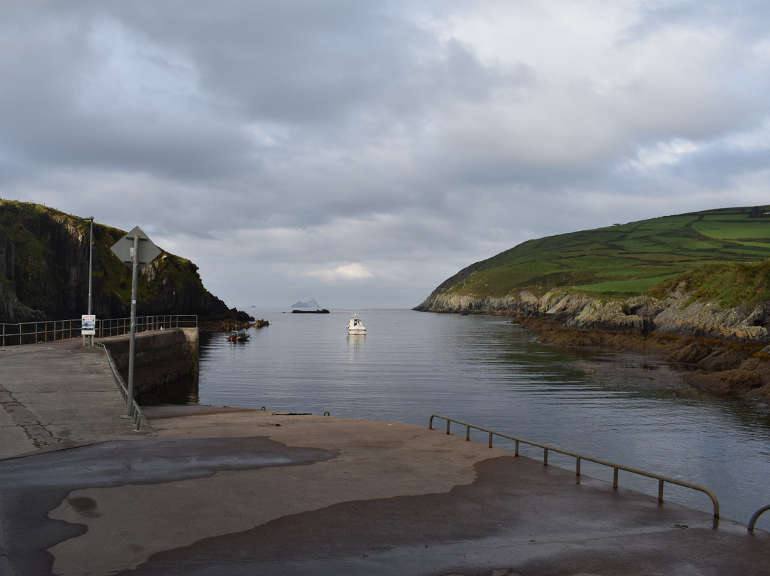 Skellig Falcon-Ballinskelligs必去景点