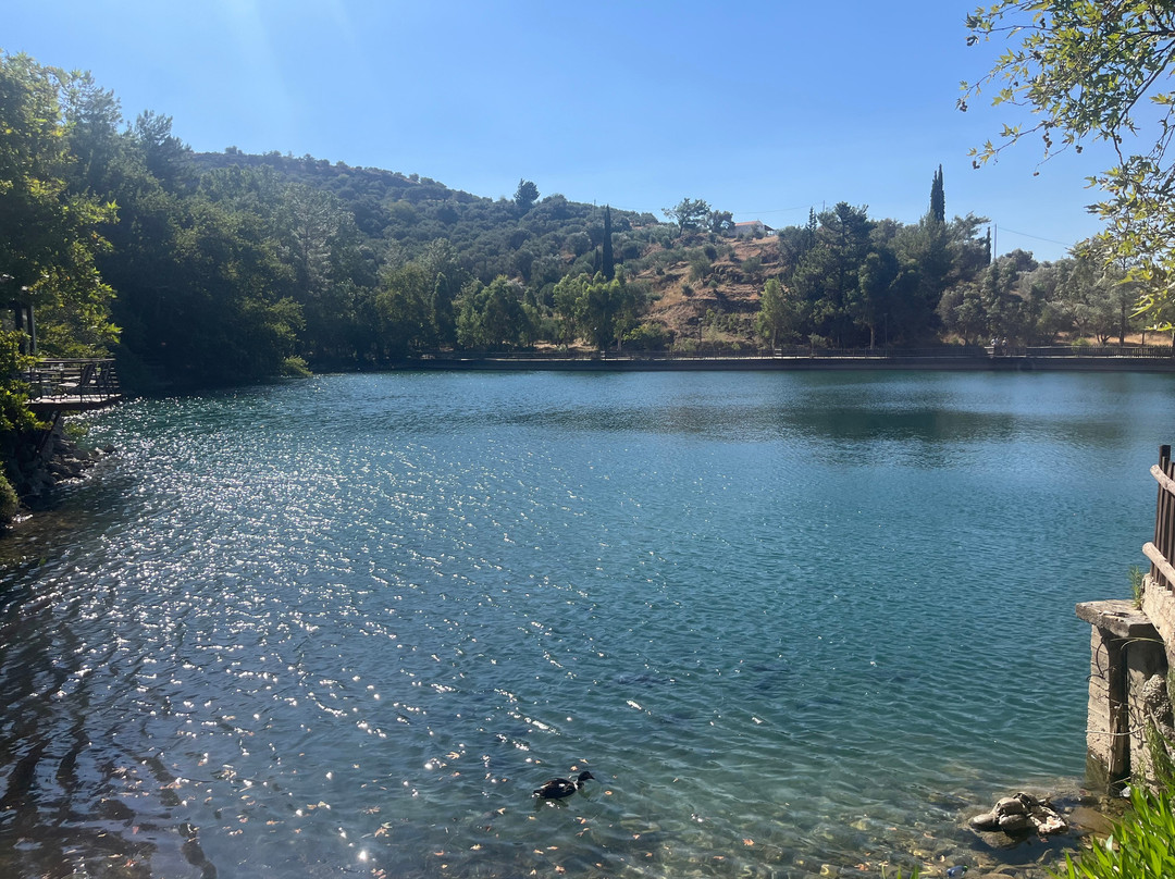 Safari Experts Crete-马利亚必去景点