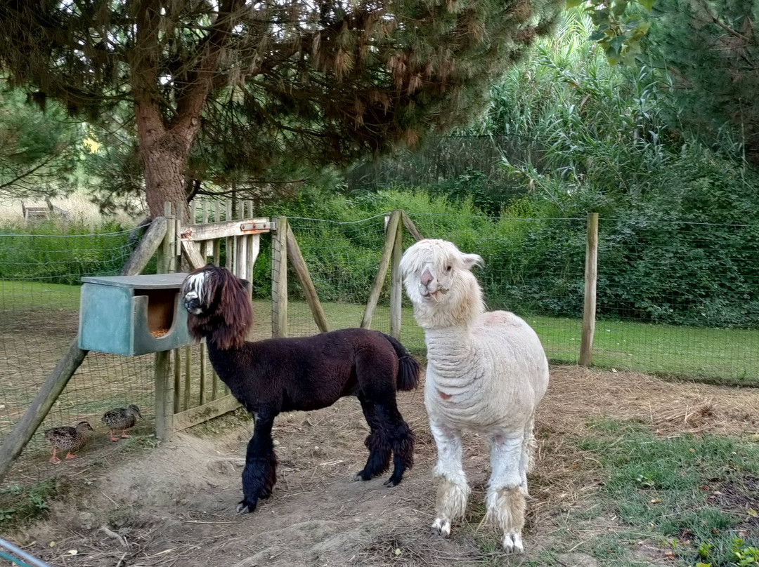 Parque Dos Monges主图