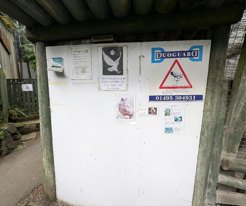 Festival Park Owl Sanctuary-Ebbw Vale必去景点