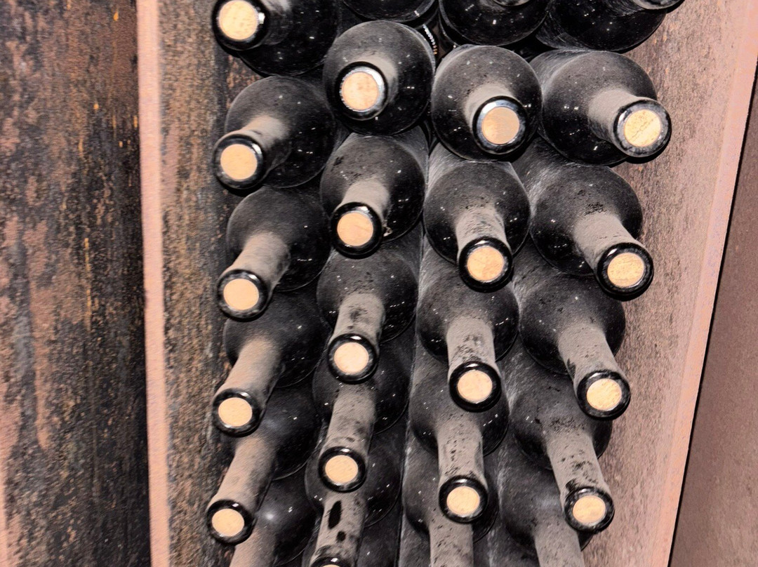 Bell-Lloc Winery-Palamos必去景点