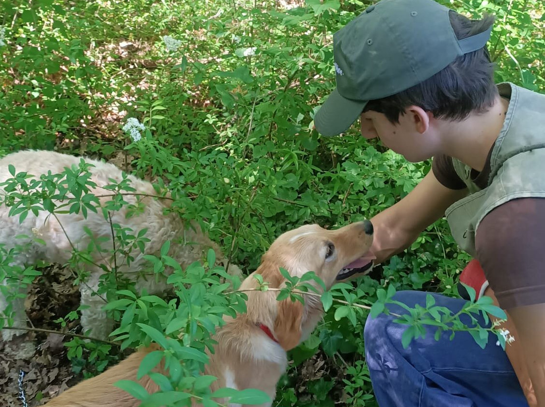Truffle Hunting in Tuscany-卡斯德尔诺沃贝拉登卡必去景点