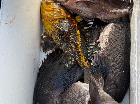 Seward Fishing Club-苏厄德必去景点