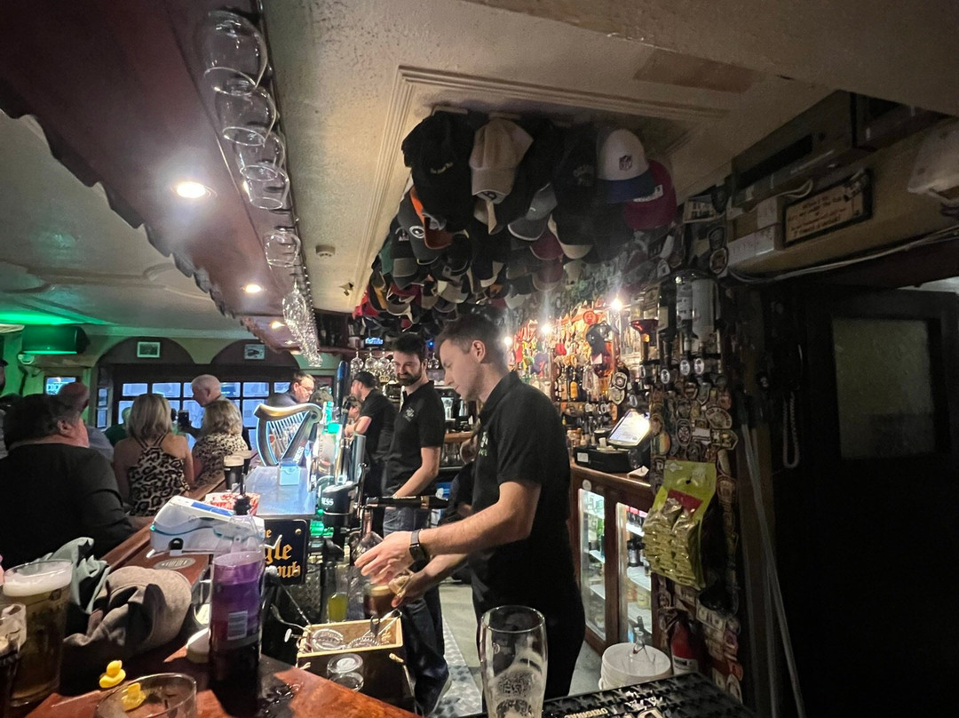 The Dingle Pub-丁格尔必去景点