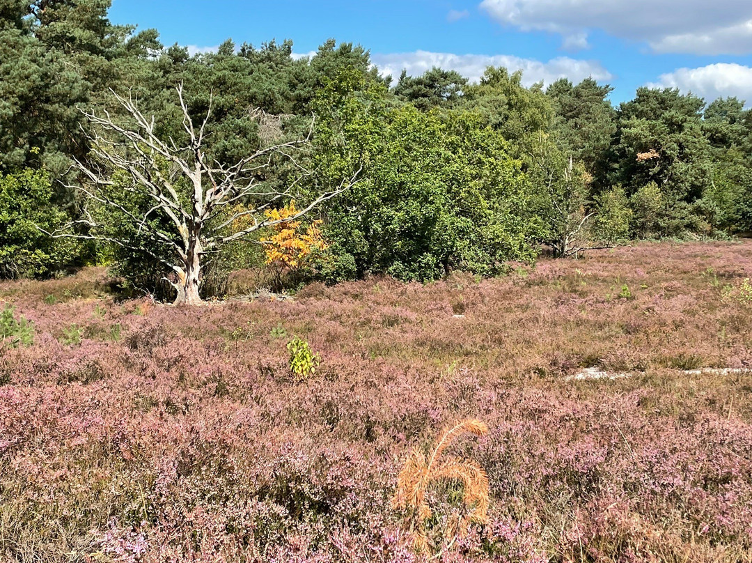 De Teut-Zonhoven必去景点