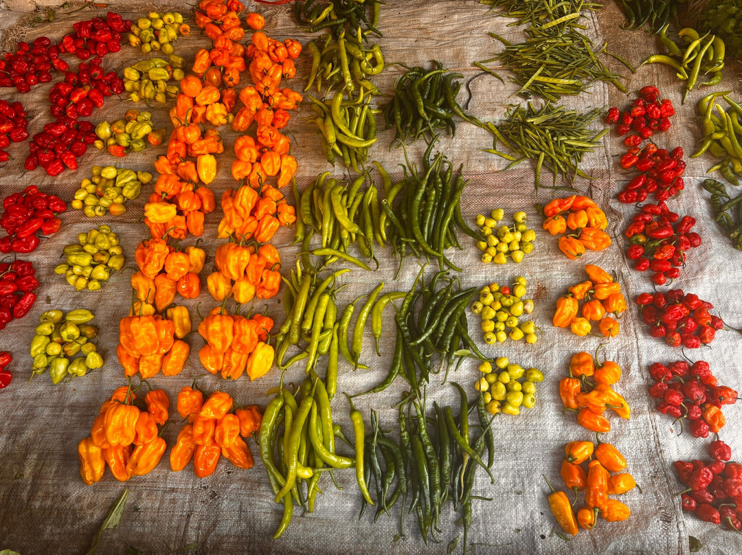 Wadudu Home & Adventure-莫西必去景点