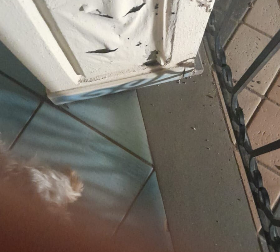 Villa Luisa Hotel主图