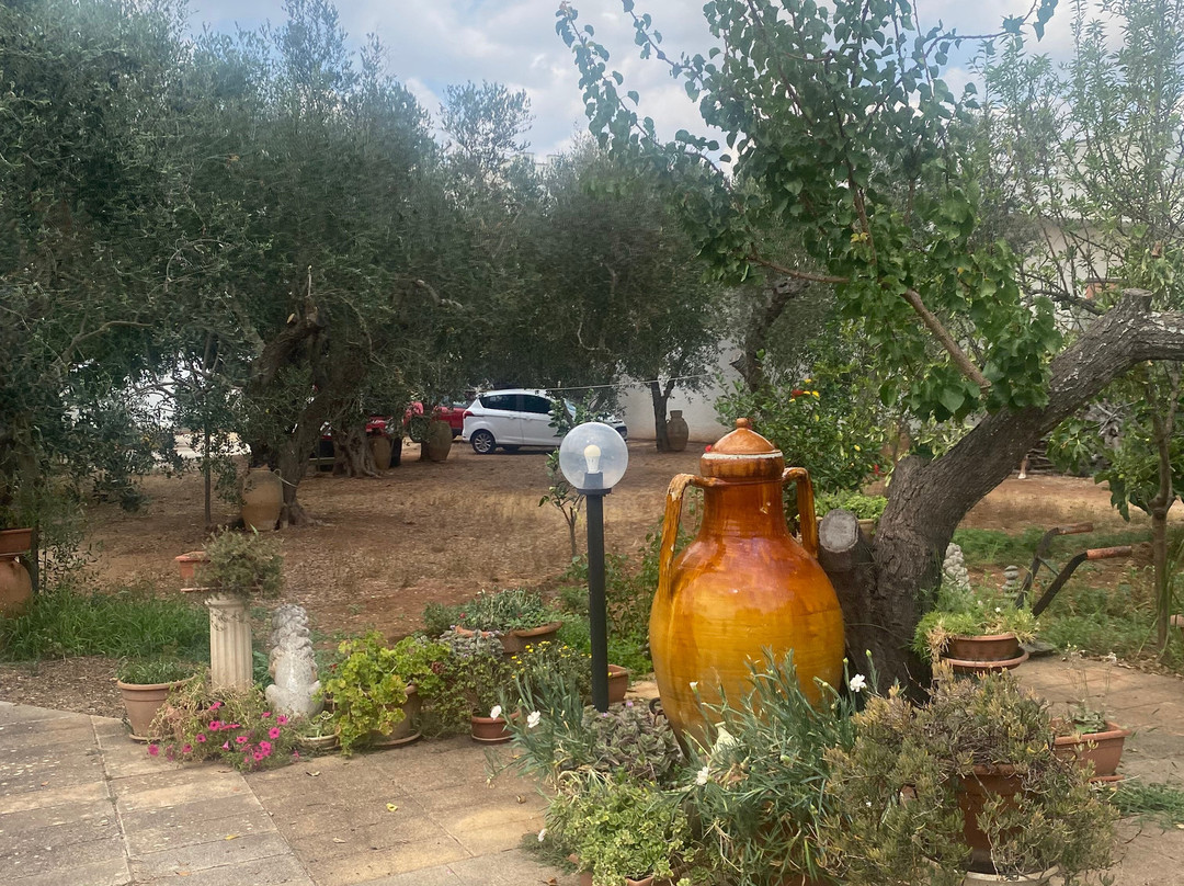 Il Giardino B&B主图