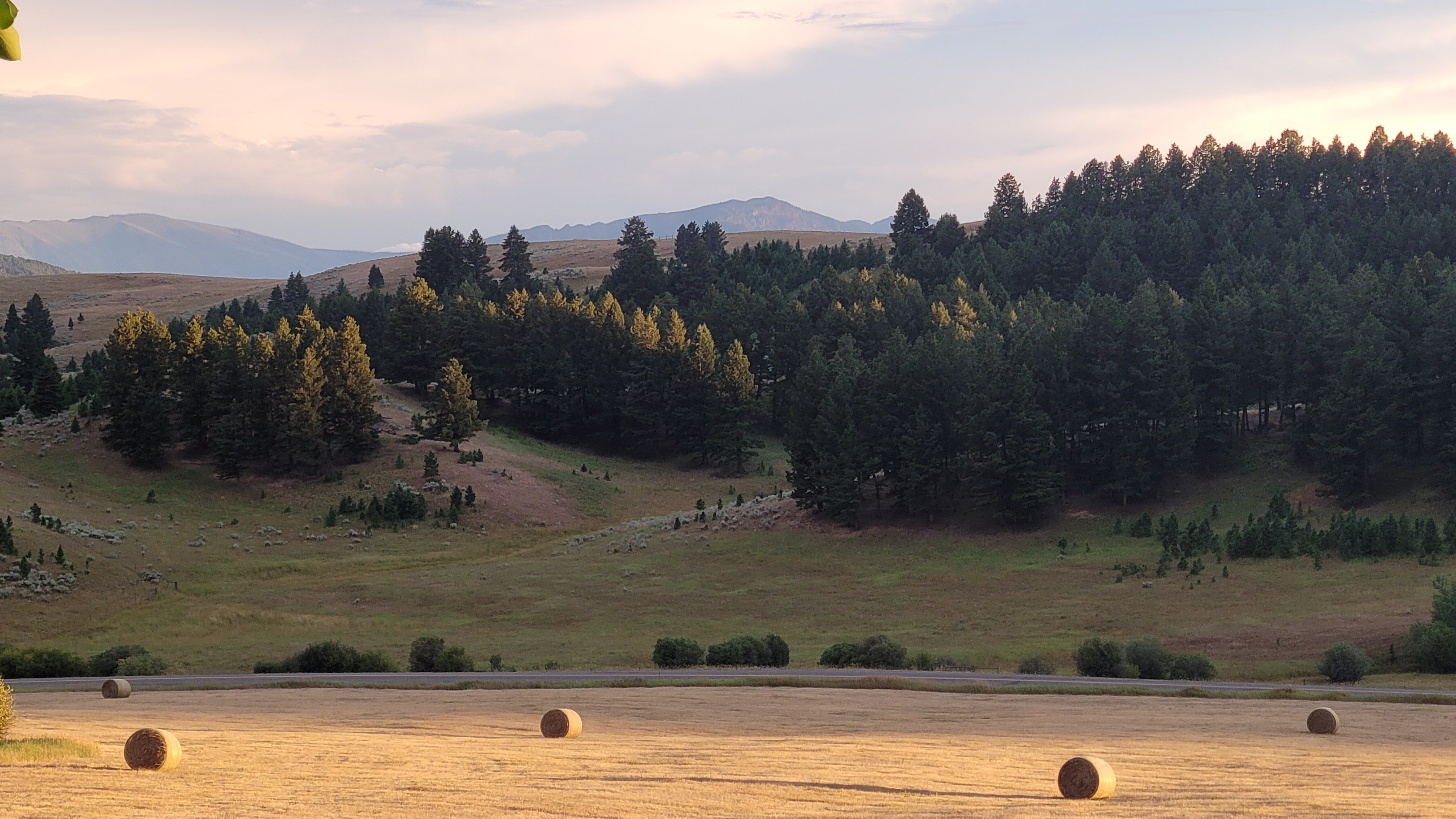 Howlers Inn Bed & Breakfast and Wolf Sanctuary-浴室