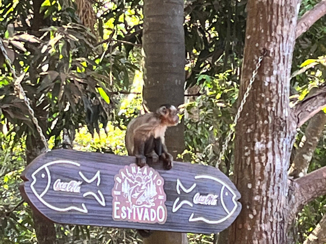 Balneario Estivado-诺布里斯必去景点