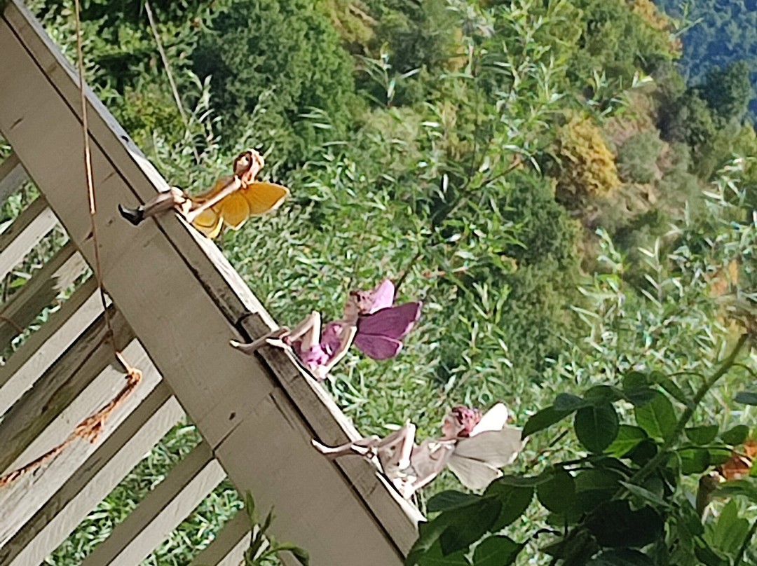 Libreria Sopra La Penna-Lucignana必去景点