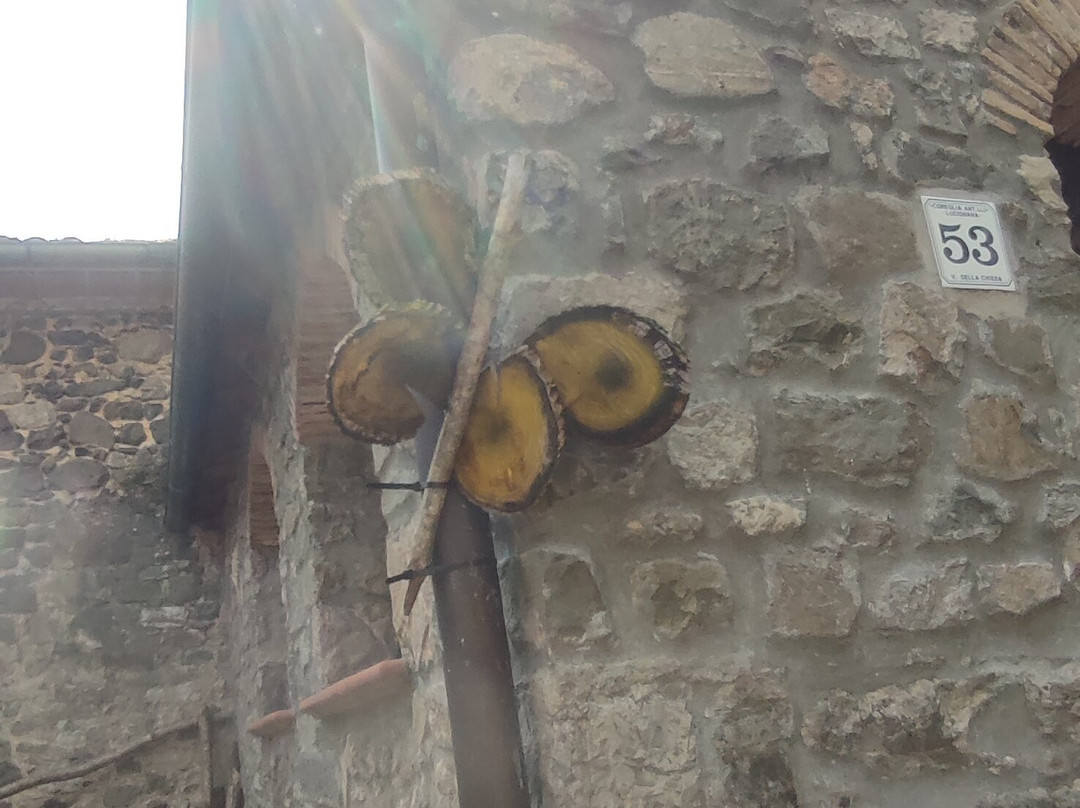 Libreria Sopra La Penna-Lucignana必去景点