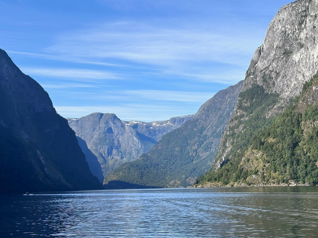 Fjord Cruise Naeroyfjord-弗洛姆必去景点