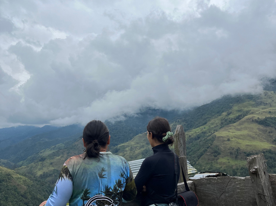 Bio Onda-Pijao必去景点