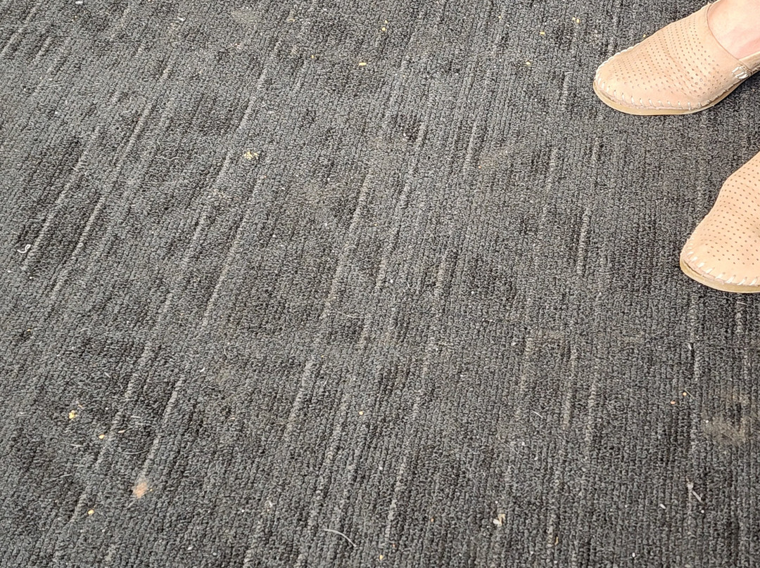 Seattle Tacoma International Airport-西塔科必去景点