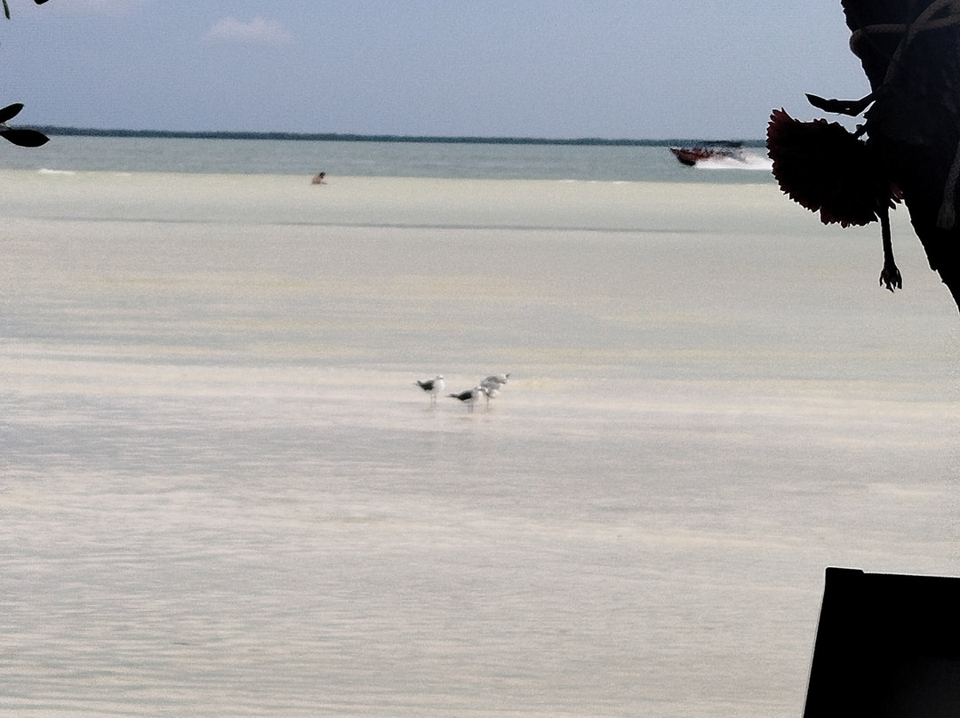 Isla Holbox-Holbox Island必去景点