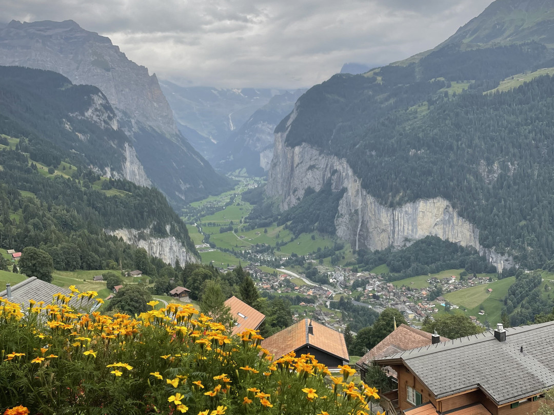 Hotel Bellevue主图