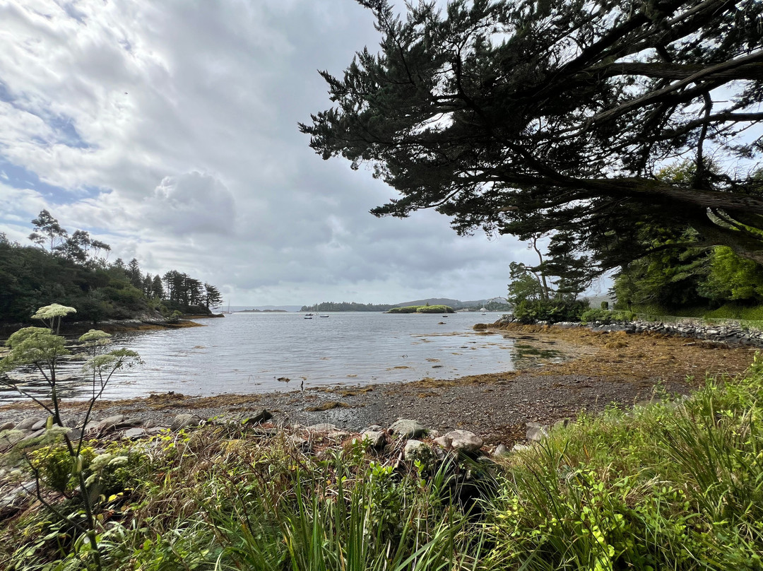 Glengarriff Bamboo Park-Glengarriff必去景点
