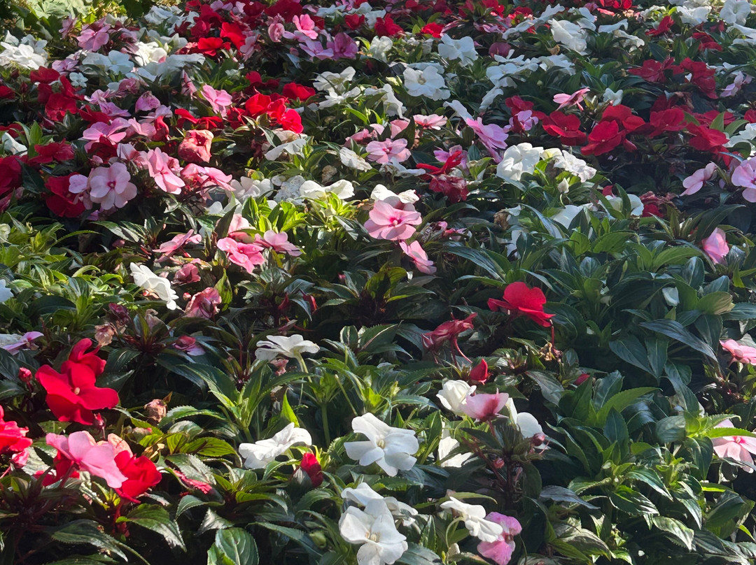 Byparken-卑尔根必去景点