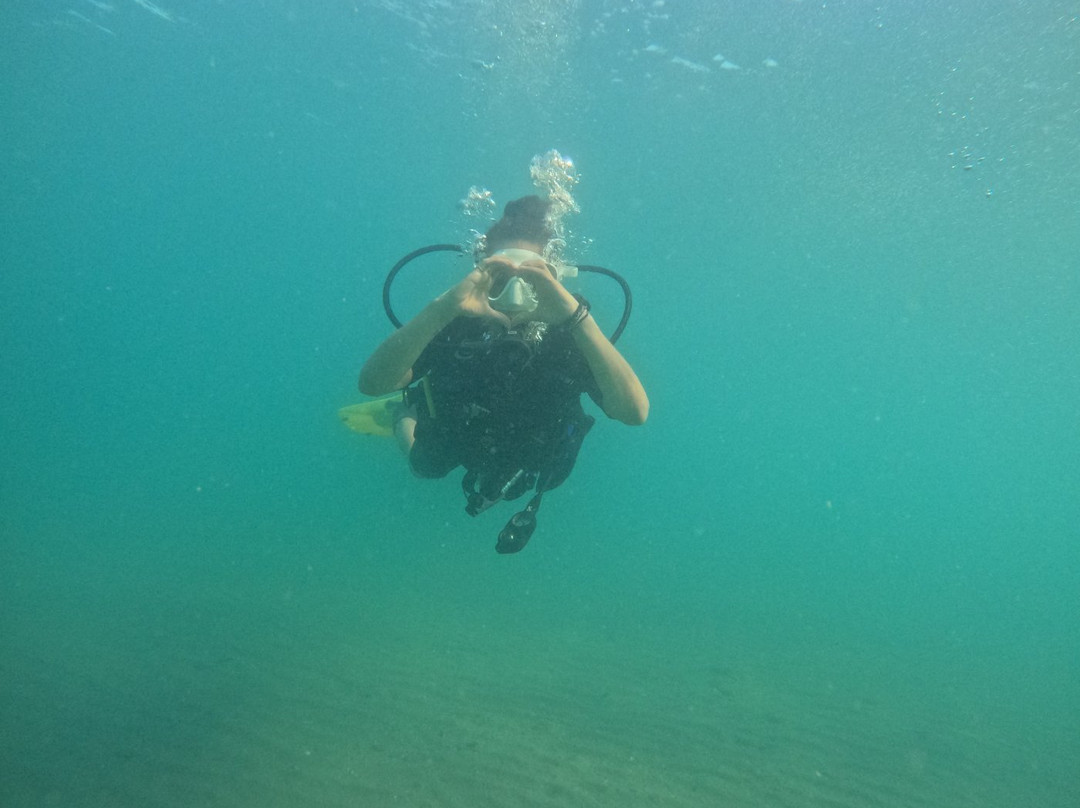 AegeanSeals Diving Center-Khalkis必去景点