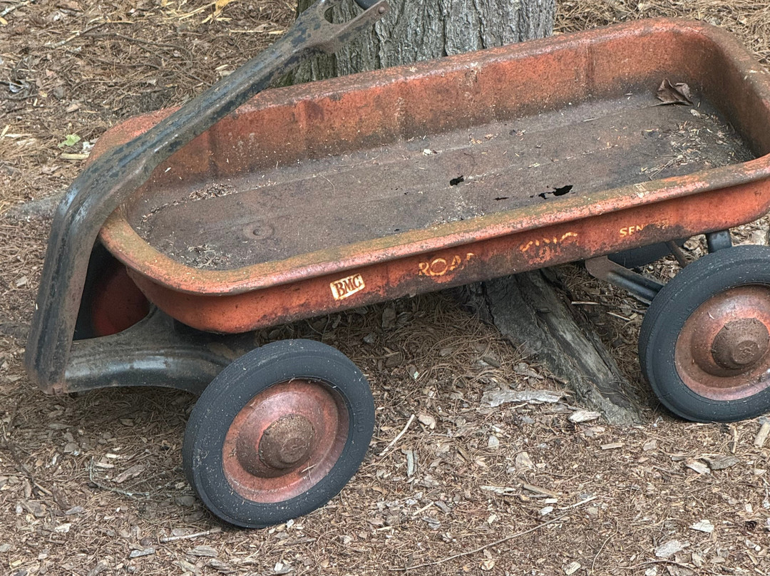 Toby's Retreat at Holloways Beach主图