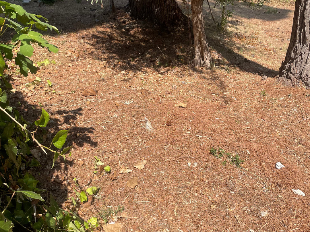 Hotel Guardacosta主图