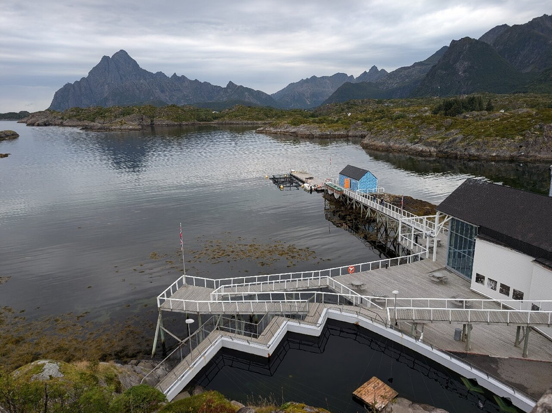 The Lofoten Aquarium-Kabelvag必去景点