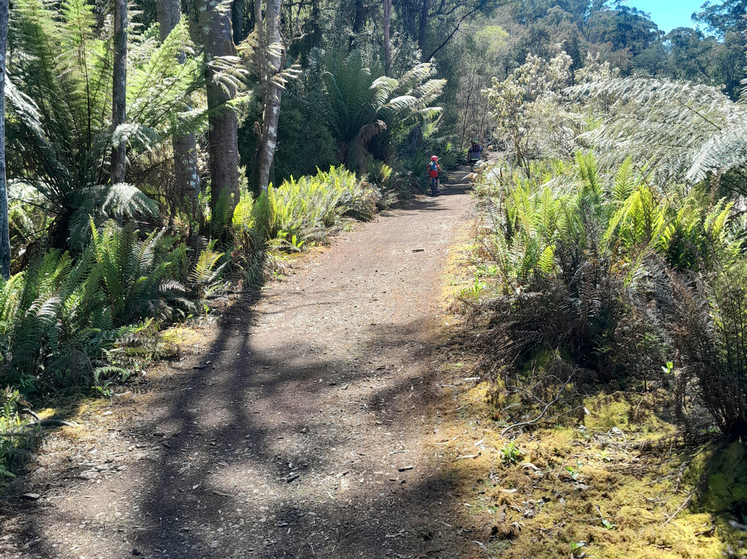 North East Tasmania Rail Trail-Scottsdale必去景点