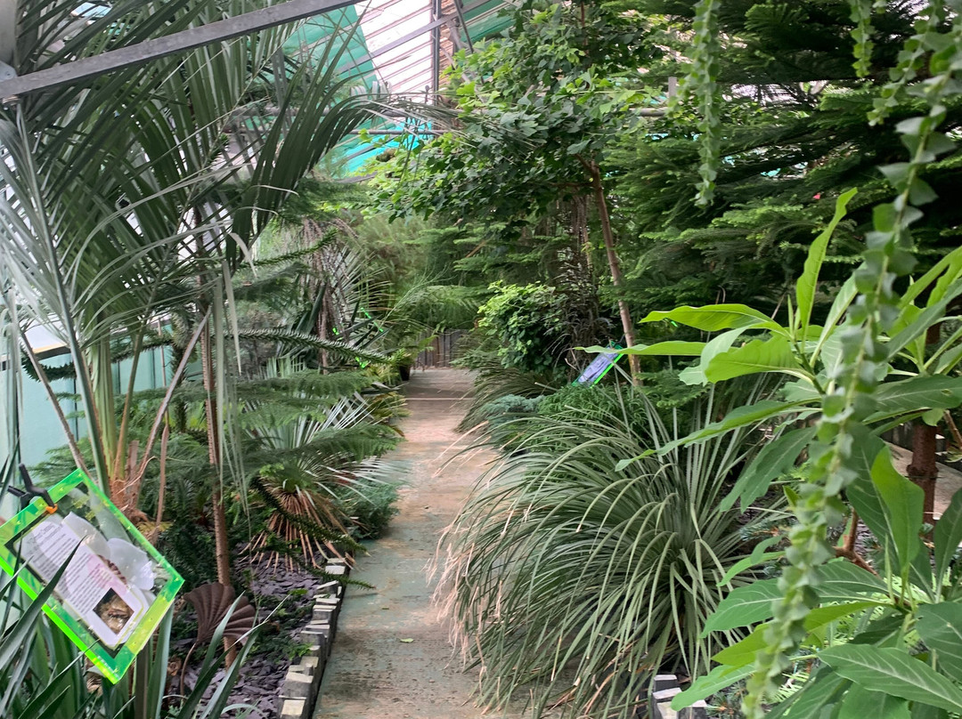 Cyfarthfa Castle-梅瑟蒂德菲尔必去景点