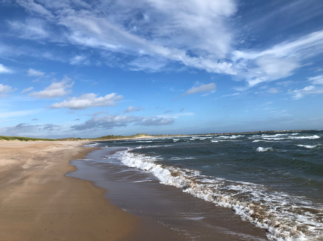 The Joiners Arms主图