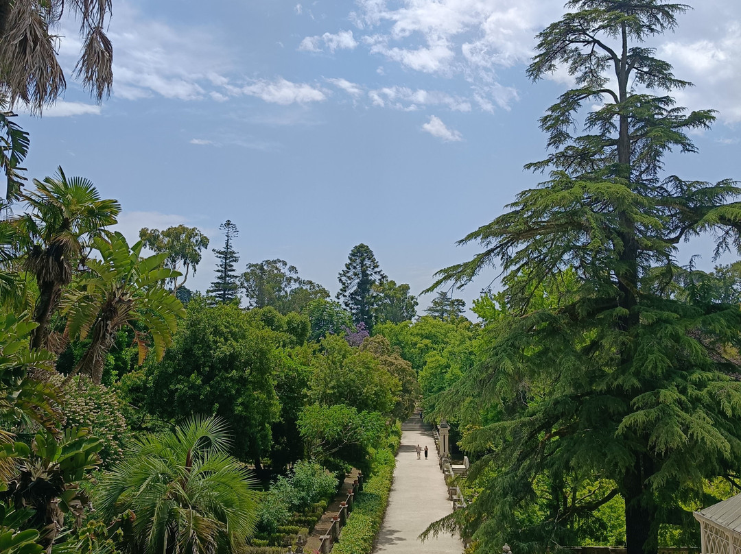 Jardim Botanico-科英布拉区必去景点