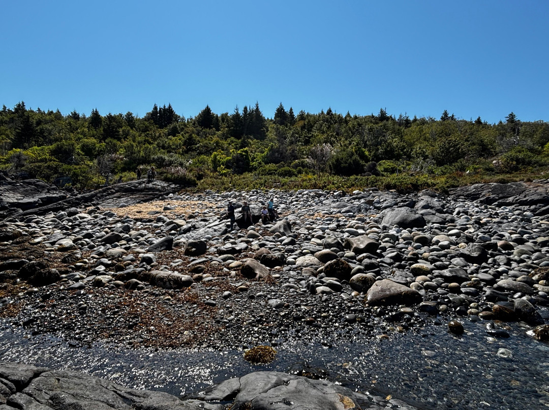 Hardy Boat Cruises-New Harbor必去景点