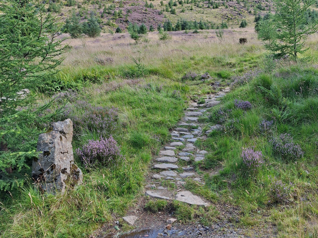 Corrie Fee National Nature Reserve-Angus必去景点