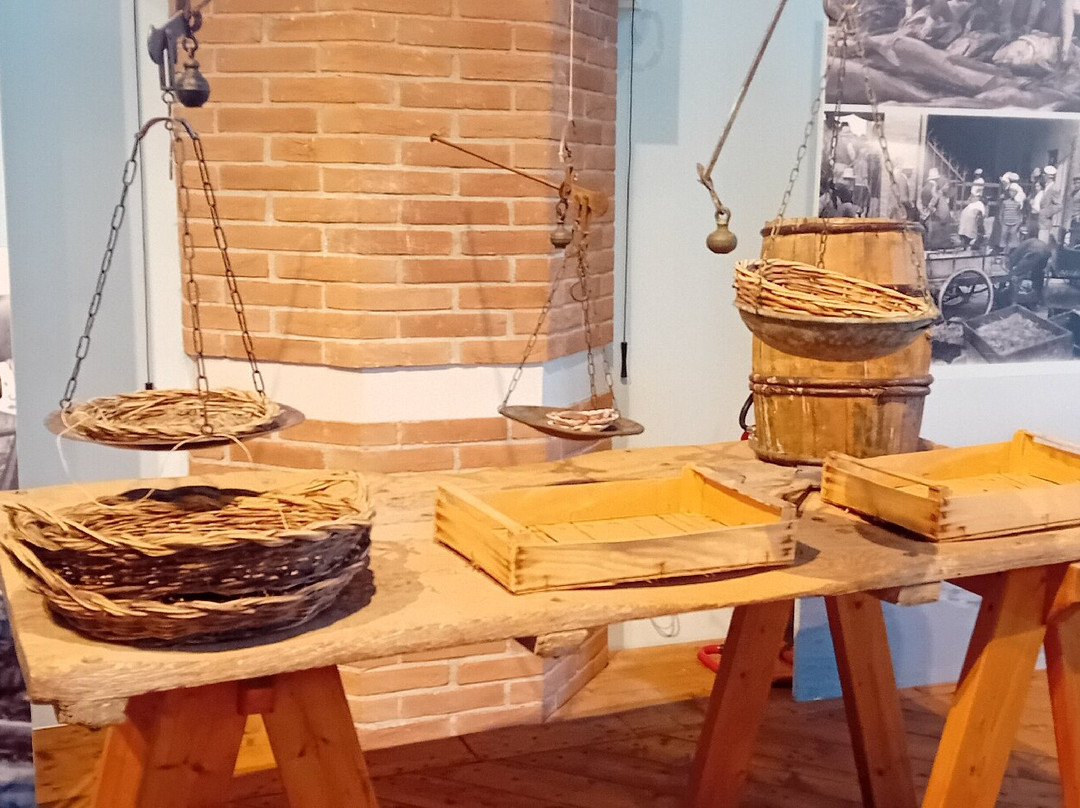 Museo della Marineria-切塞纳蒂科必去景点
