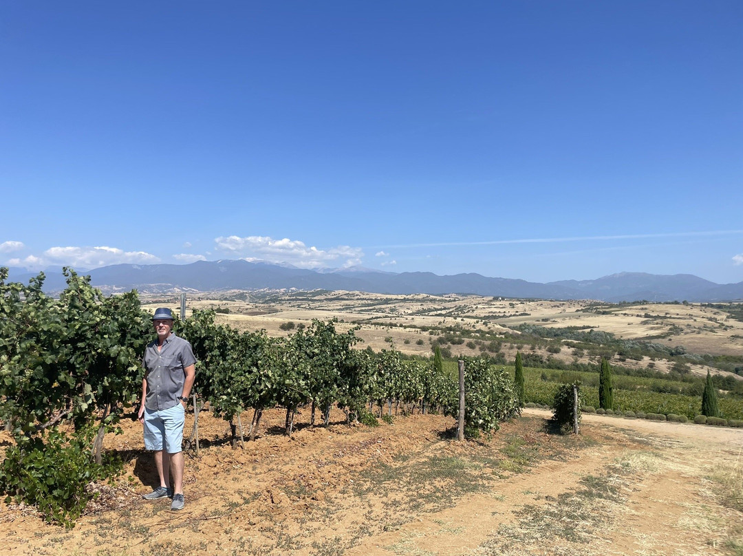 Wine Tours Rupel-梅尔尼克必去景点