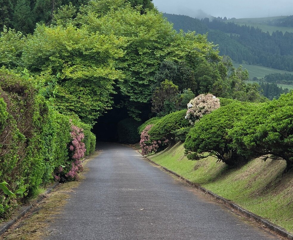 Pedro Ferreira Azores Tours-蓬塔德尔加达必去景点