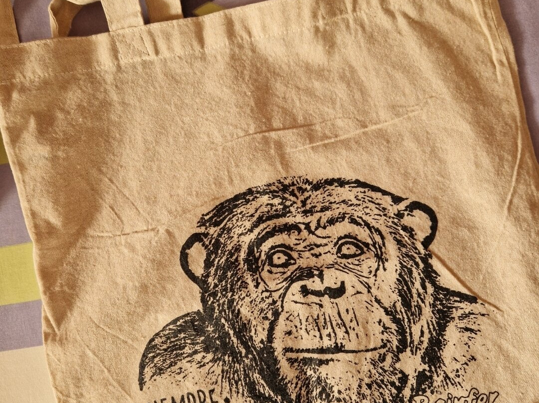 Centro De Rescate Y Recuperación De Primates Rainfer-Fuente El Saz De Jarama必去景点