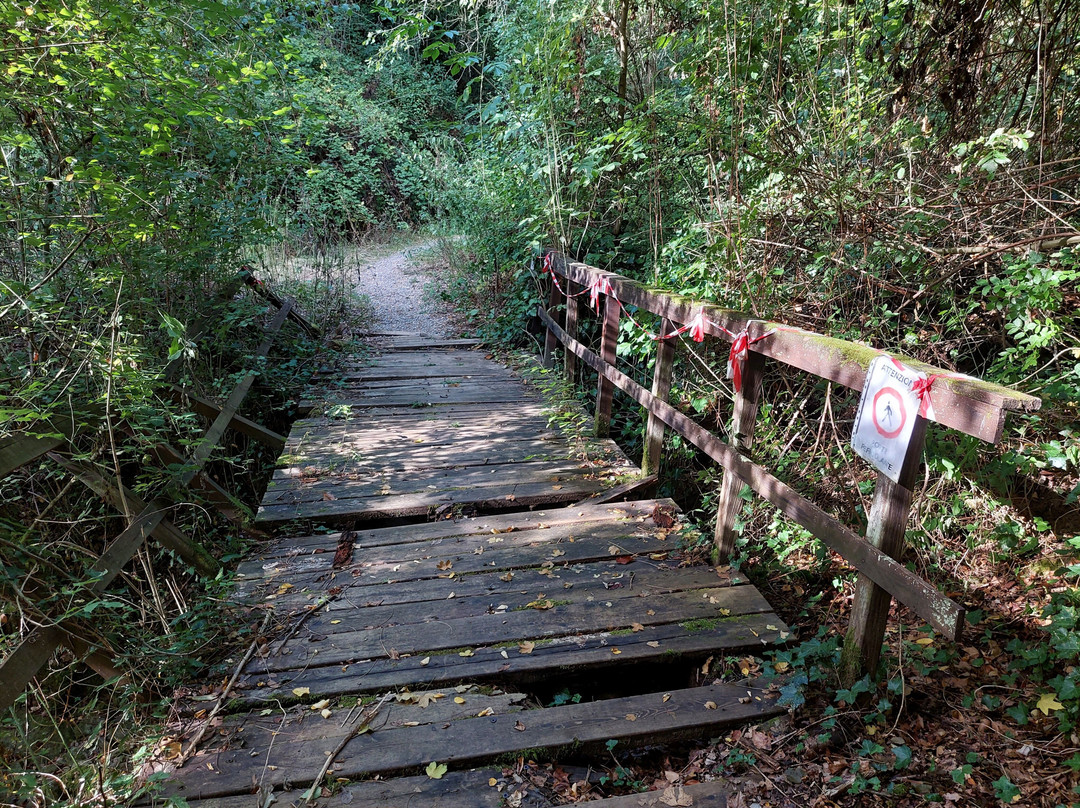 Torre di Vernazzano-Tuoro sul Trasimeno必去景点