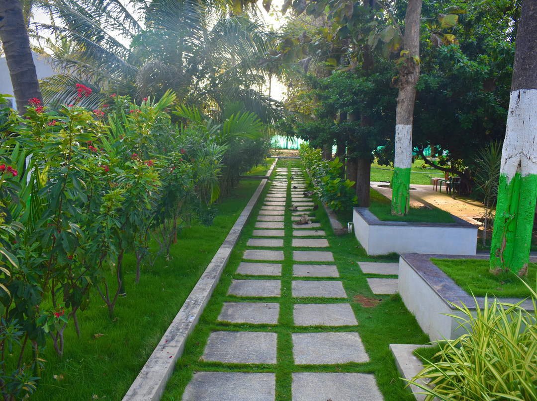 Gandhada Goodu Retreat