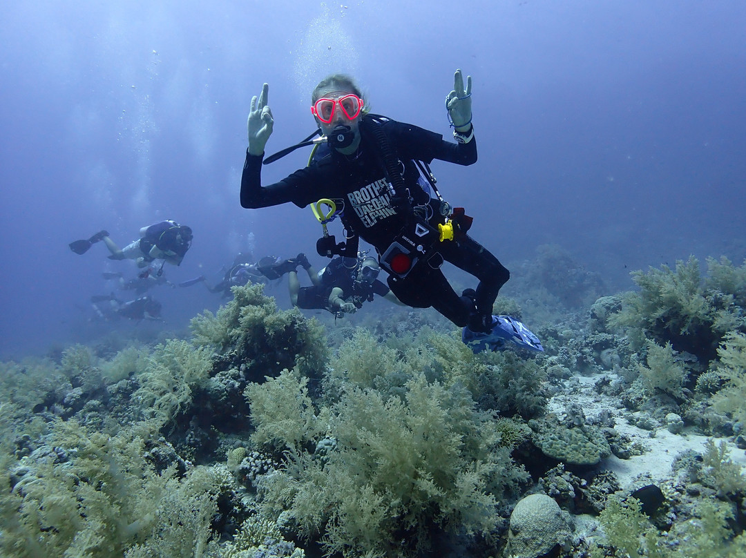DiveCampus Diving Club-迪拜必去景点