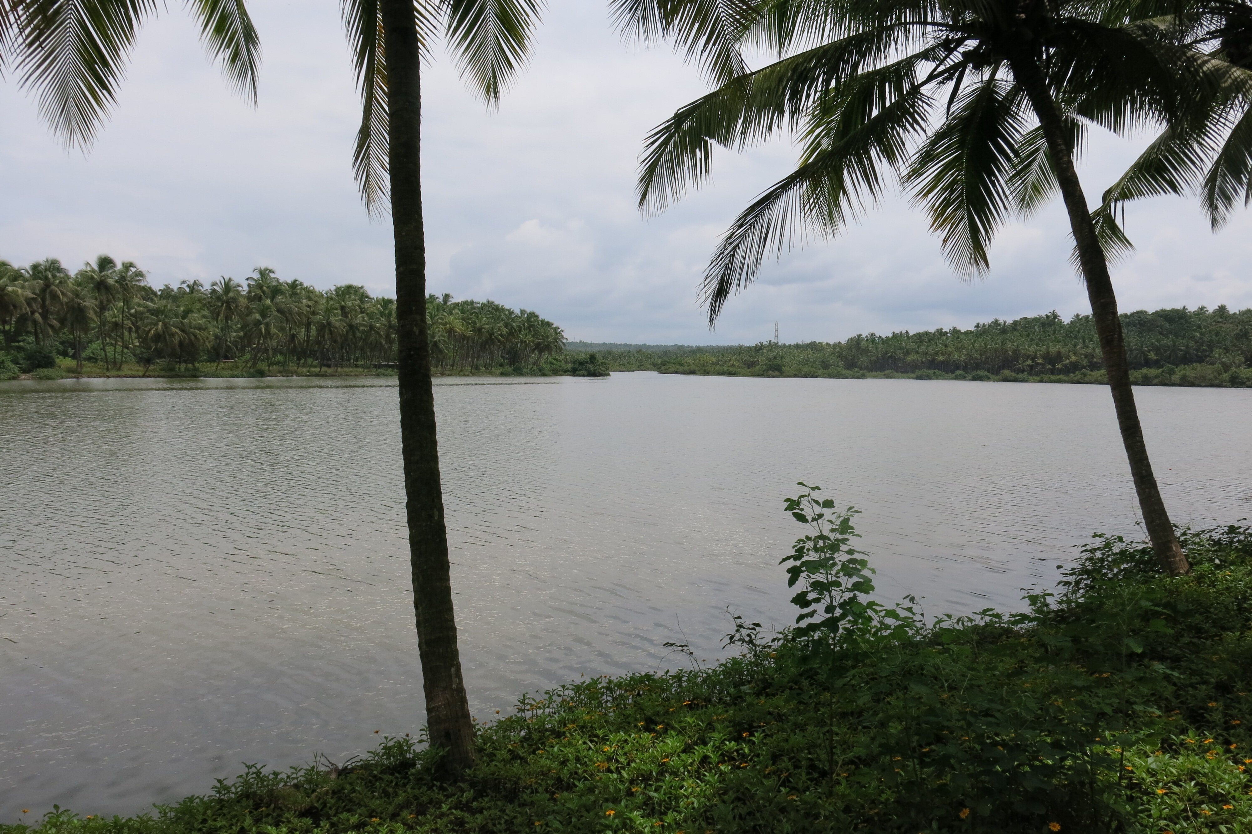 The Lalit Resort & Spa Bekal-酒店景观