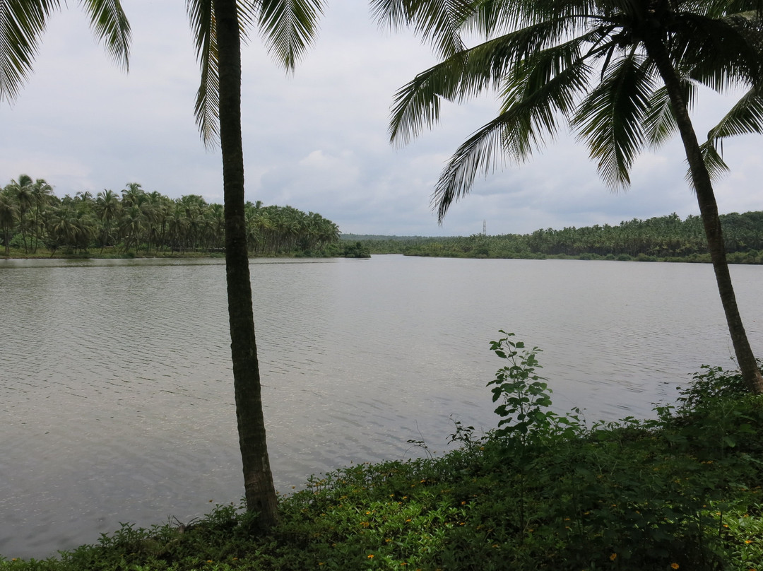 The Lalit Resort & Spa Bekal主图