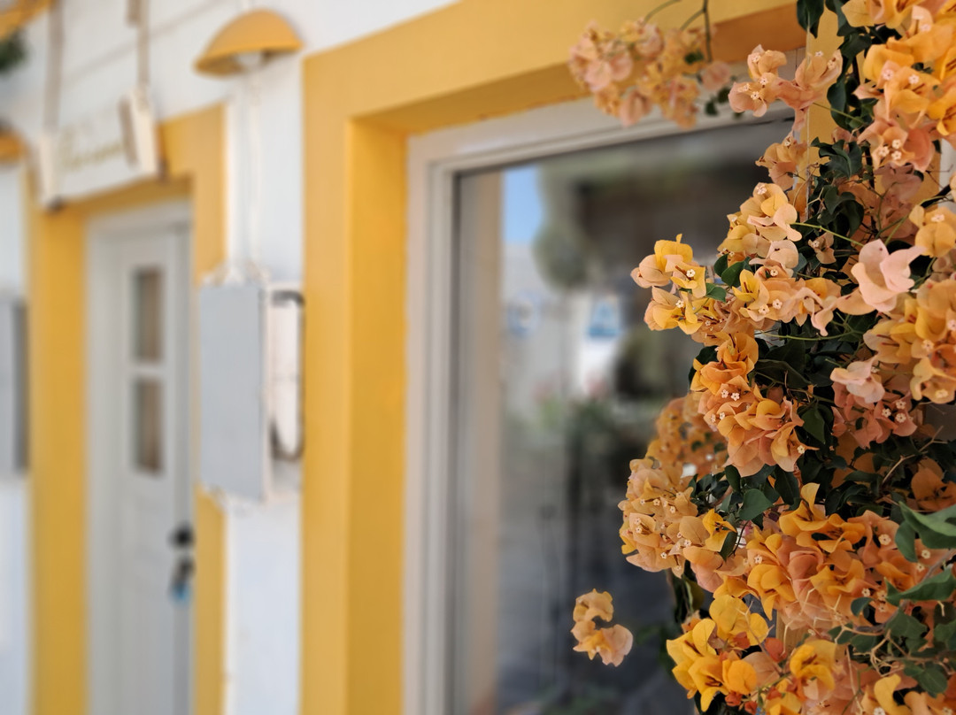 Pariano - Handcrafted Memories from Paros-莱福克斯必去景点